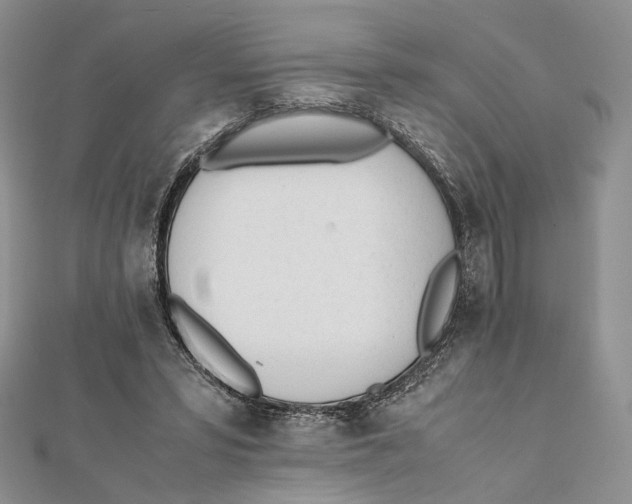 X0000112050399200909010946