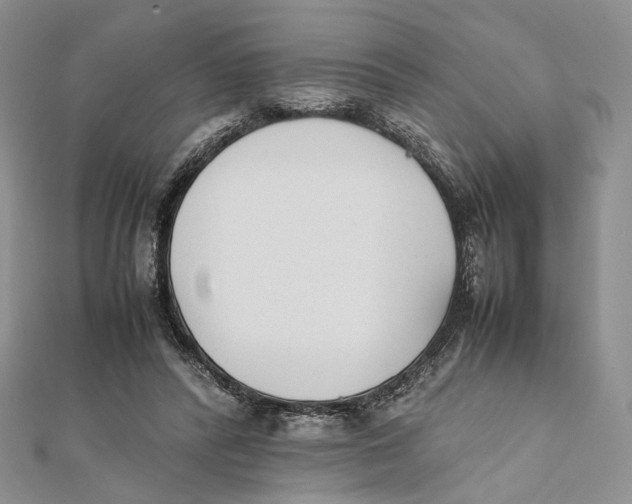 X0000112050400200909010946