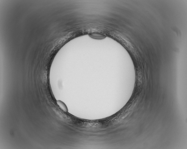 X0000112050401200909010946