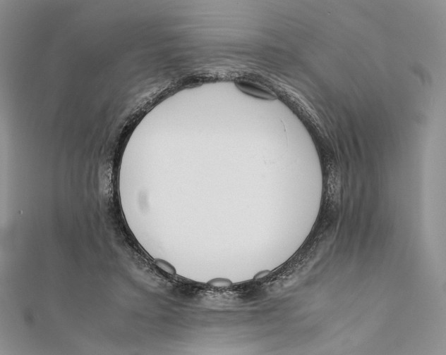 X0000112050403200909010946