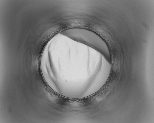 X0000112050405200909010946