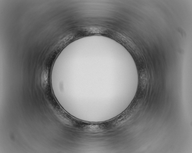 X0000112050406200909010946