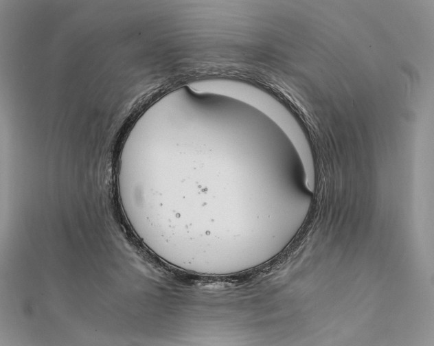 X0000112050407200909010946