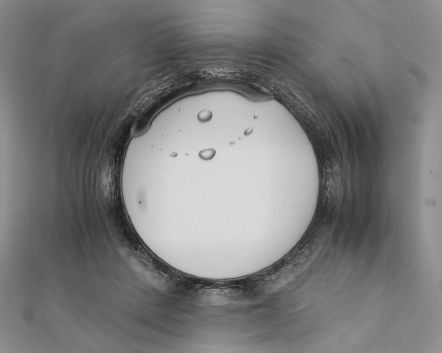 X0000112050408200909010946