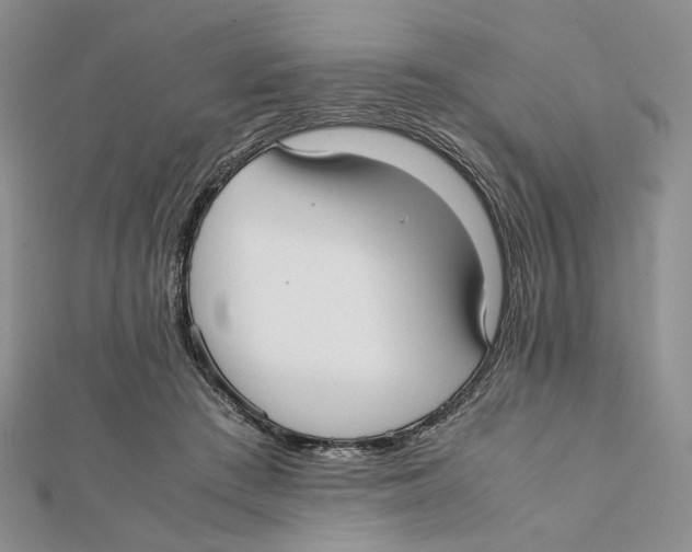 X0000112050409200909010946