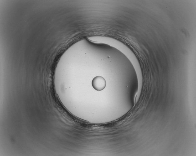 X0000112050413200909010946