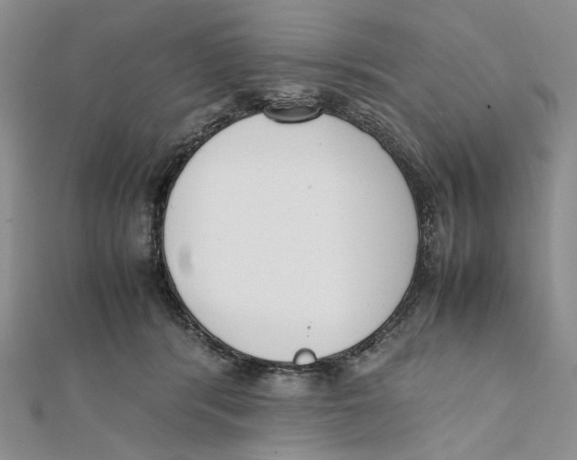 X0000112050416200909010946