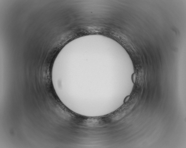X0000112050418200909010946