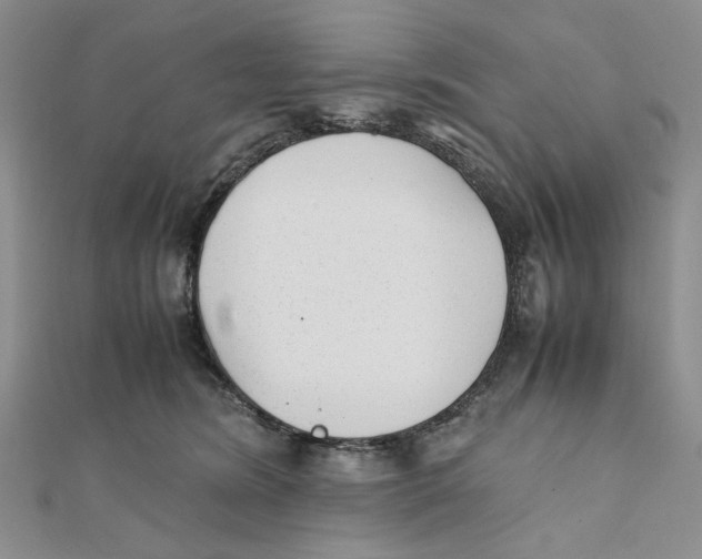 X0000112050420200909010946