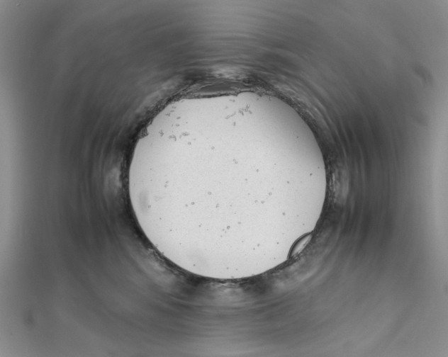 X0000112050424200909010946