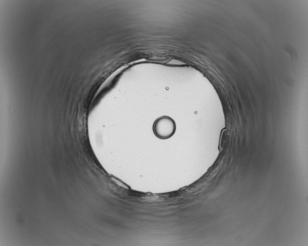 X0000112050425200909010946