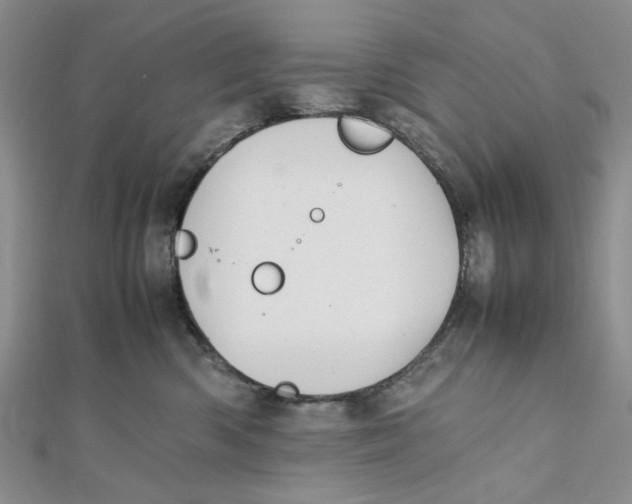 X0000112050426200909010946