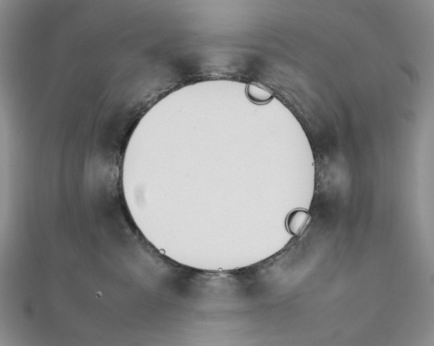 X0000112050427200909010946