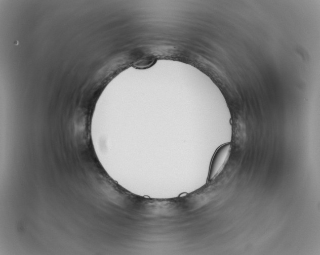X0000112050428200909010946