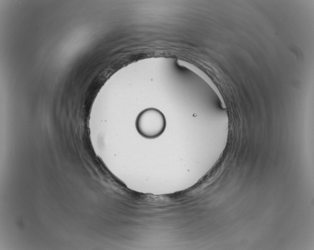 X0000112050429200909010946