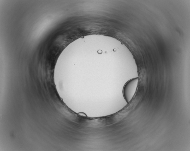 X0000112050430200909010946