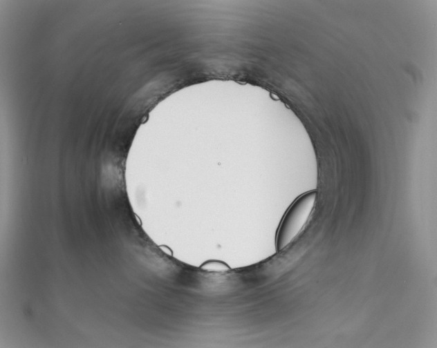 X0000112050432200909010946