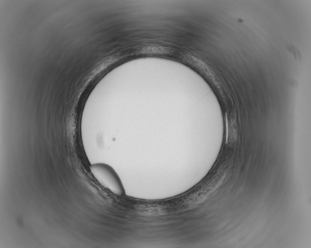 X0000112050435200909010945