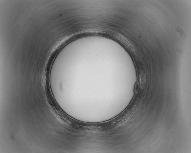 X0000112050436200909010945