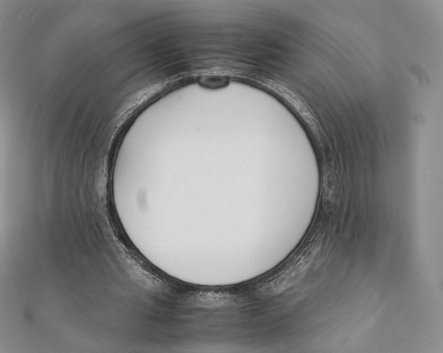 X0000112050437200909010945