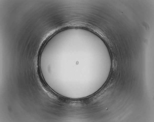 X0000112050438200909010945