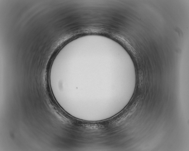 X0000112050439200909010945