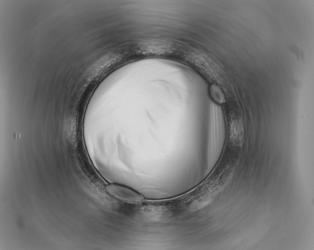 X0000112050444200909010945