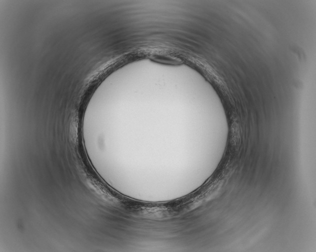 X0000112050446200909010945