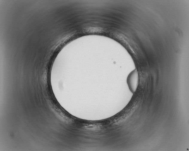 X0000112050447200909010945