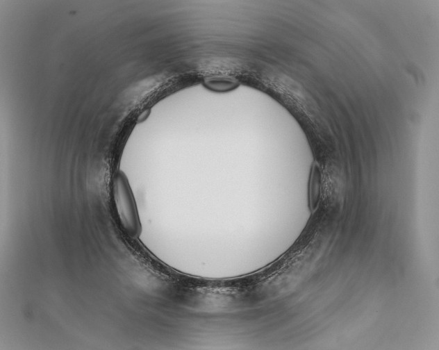 X0000112050448200909010945