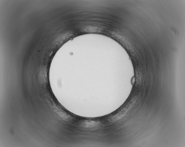 X0000112050453200909010946