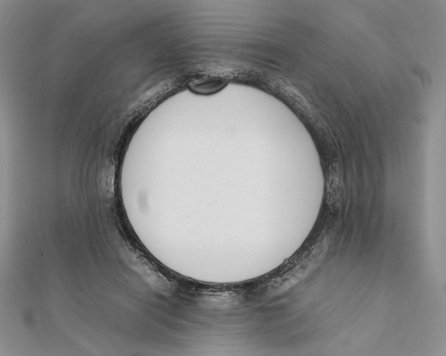 X0000112050454200909010946