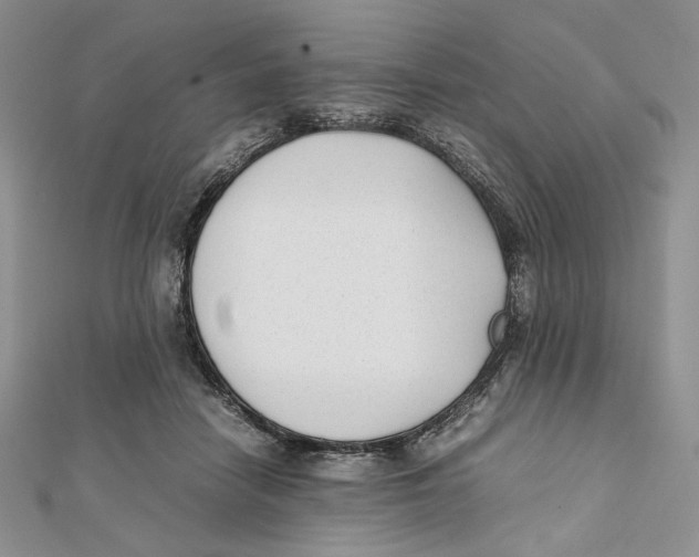 X0000112050458200909010946