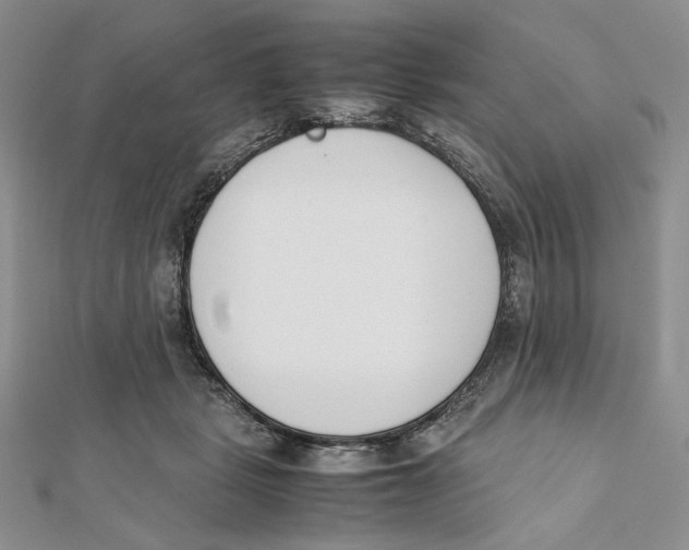 X0000112050461200909010946