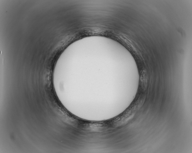 X0000112050462200909010946
