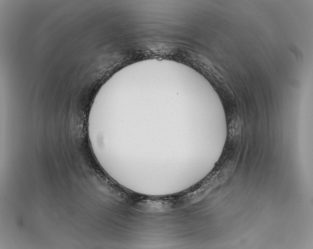 X0000112050464200909010946