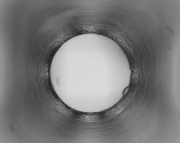 X0000112050466200909010946