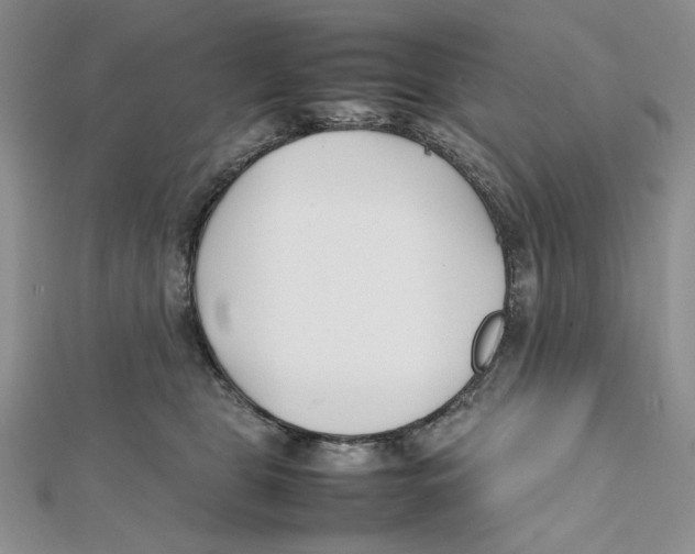 X0000112050469200909010946