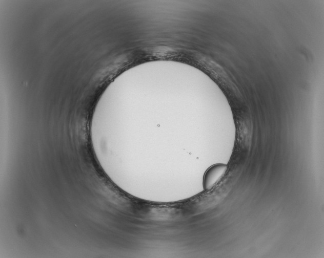 X0000112050470200909010946