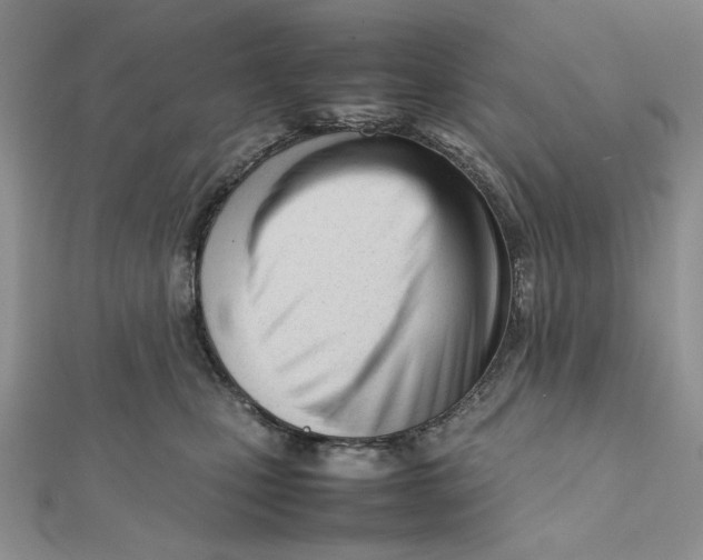 X0000112050471200909010946