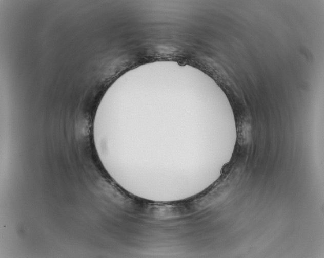 X0000112050472200909010946