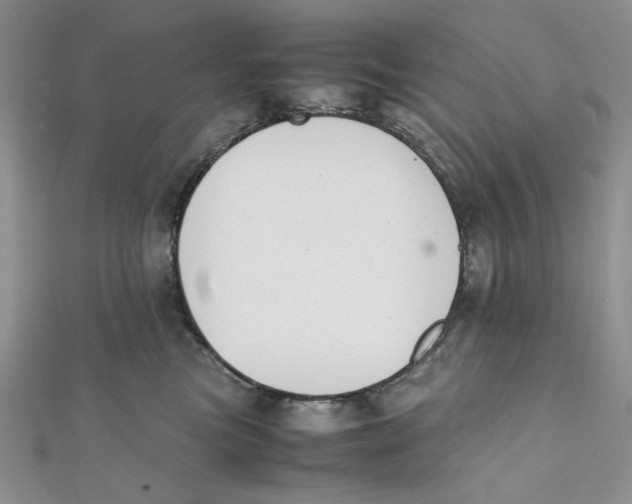X0000112050473200909010946