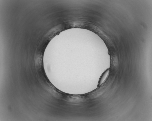 X0000112050475200909010946
