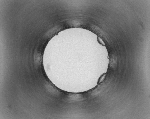 X0000112050476200909010946