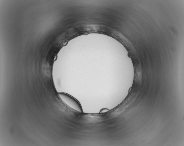 X0000112050477200909010946