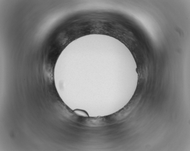 X0000112050479200909010946