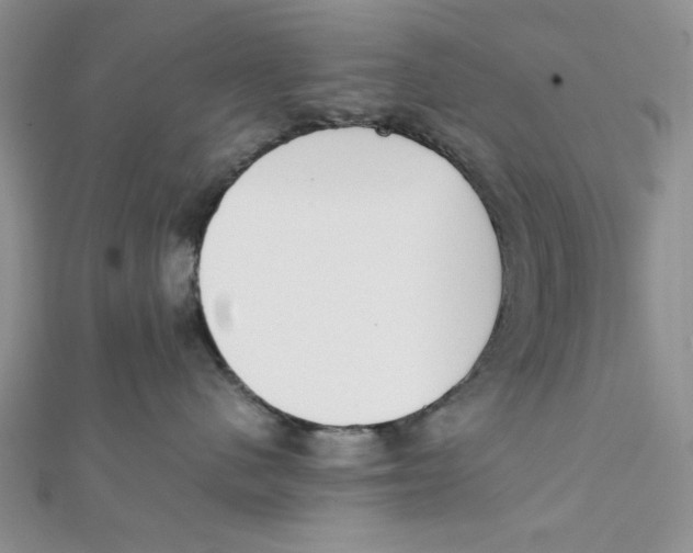 X0000112050480200909010946
