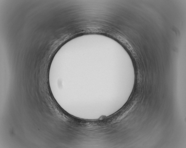 X0000112050481200909010945
