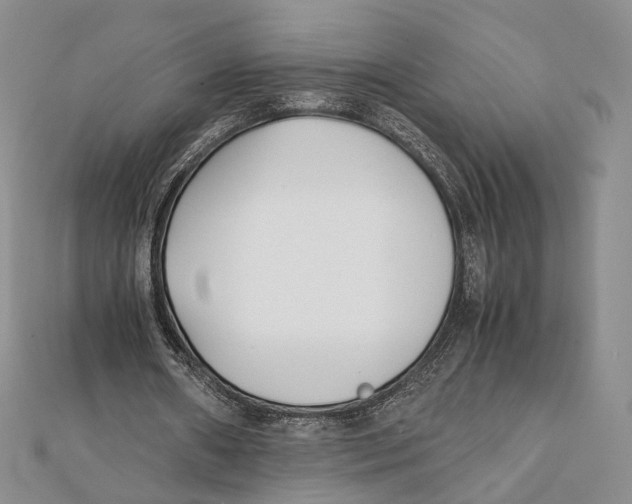 X0000112050482200909010945