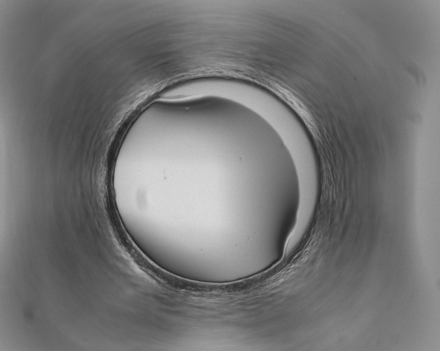 X0000112050485200909010945